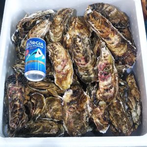 直販限定　バラ牡蠣 生食用 食べ放題向け 20k…