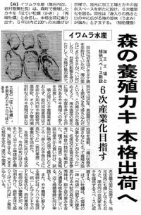 森の養殖カキ本格出荷へ